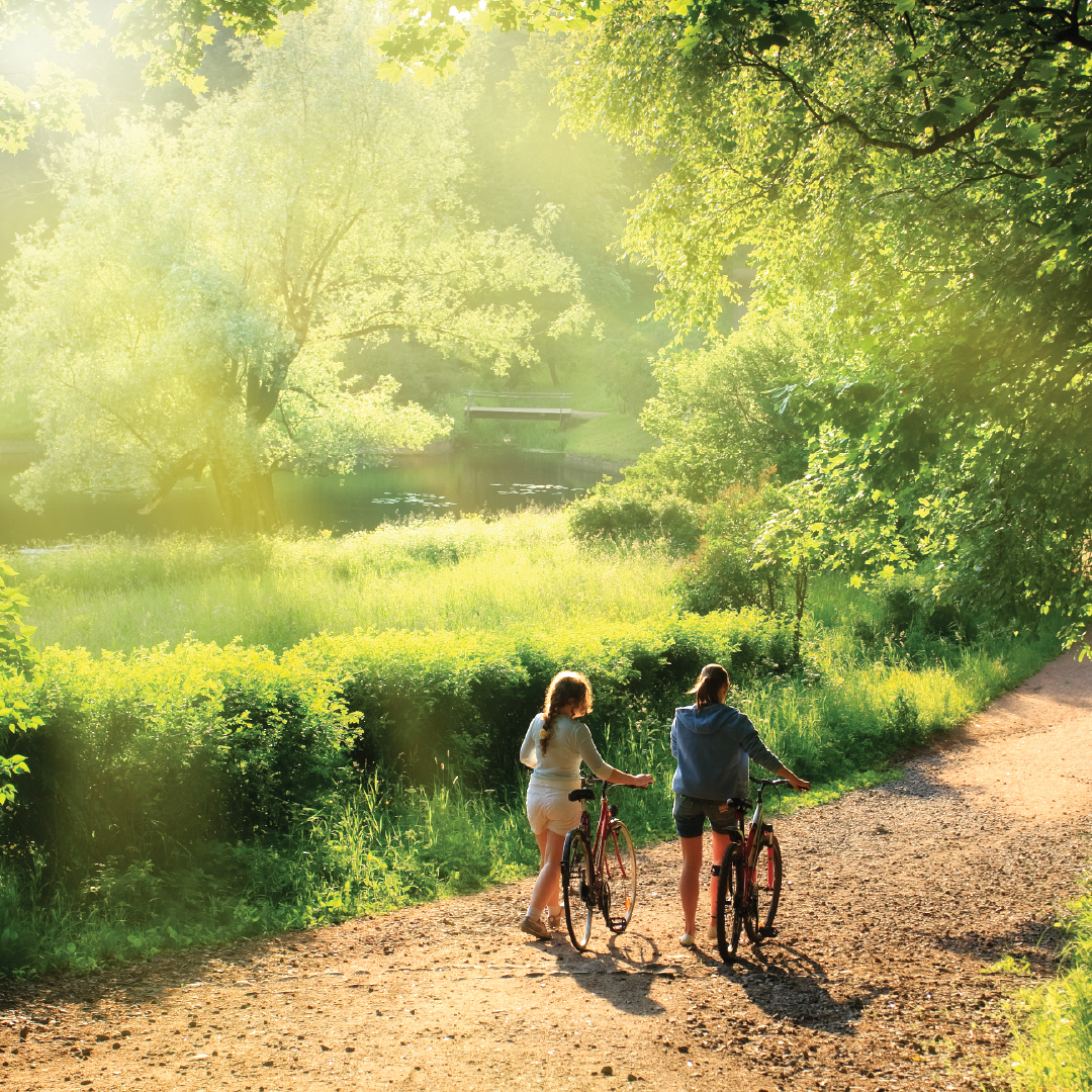 Sowparnika Euphoria In The East Cycle Track for fitness and recreation