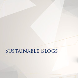 Sustainability Insights Blogs